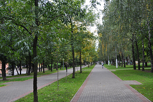 Газонное покрытие восстановили в парке на Кировоградской улице