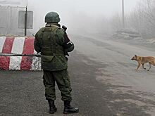 Разминирование в Донбассе возможно при стабильной ситуации, заявили в ДНР