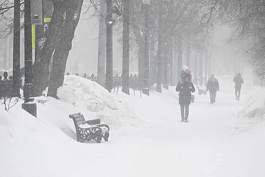 Москвичам пообещали 87-сантиметровые сугробы