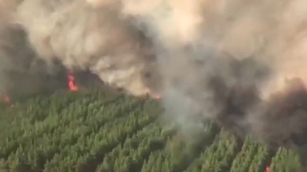 В трех районах Ростовской области введен режим ЧС из-за лесных пожаров