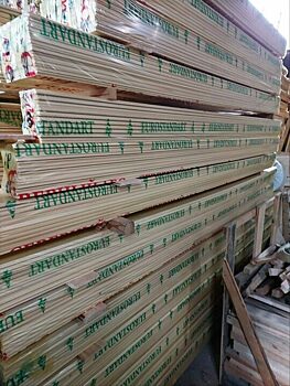 Из Кировской области вывезли почти полмиллиона кубов хвойного леса