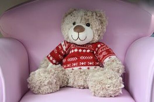 В Челнах ухажер прислал женщине плюшевого мишку со взрывчаткой