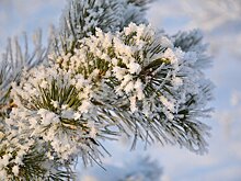 Автору самой известной в России новогодней песни исполняется 120 лет