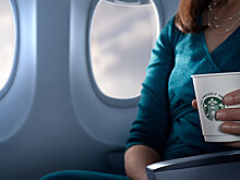 Неадекватные пассажиры устроили перепалку с травматизмом на борту чартера из Индии