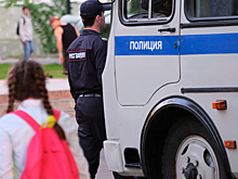Зарубивших котенка топором школьниц наказали