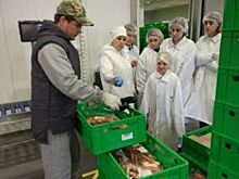 Экскурсию по фабрике мясной гастрономии провели для челябинцев