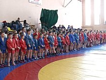 Накануне праздника определены лучшие пензенские самбисты