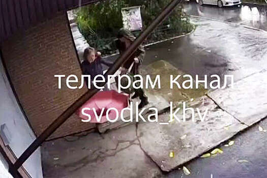 В Хабаровске на видео попало, как мужчина избивает женщину у подъезда