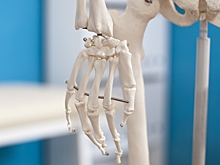 Разработан «цифровой конструктор» для создания костных имплантатов