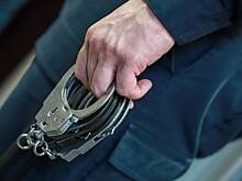 Арестованы дети депутата Госдумы Дорошенко на время следствия