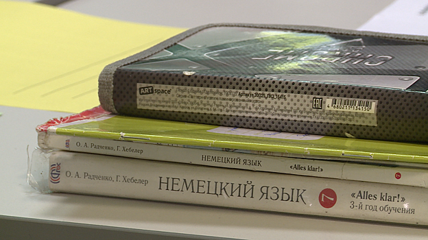 «Повышается мотивация к изучению». В Щелкове школьники уже год учат иностранные языки по сингапурской методике