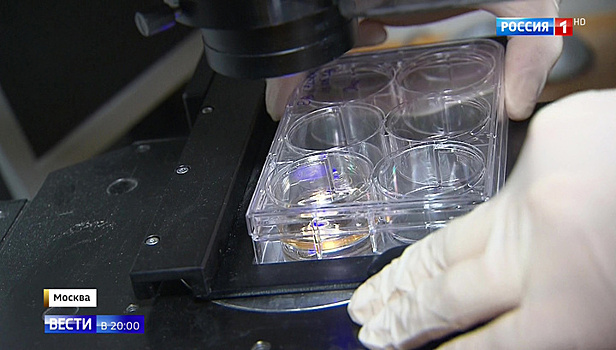 Российские ученые нашли лекарства для редких изменений геномов