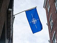 Пушков оценил перспективы вступления Украины в НАТО