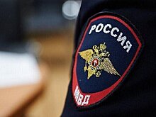 Владелец ФК "Торпедо" Соболев задержан до избрания меры пресечения