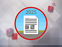 Штрафы за нарушение ПДД с января 2025 года: что изменилось