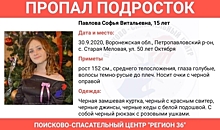 В Воронежской области пропала без вести 15-летняя школьница