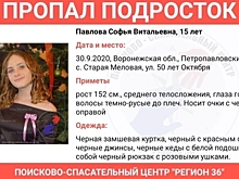 В Воронежской области пропала без вести 15-летняя школьница