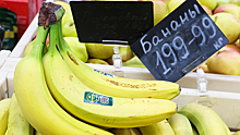 Эксперт назвал условие для роста цен на бананы в России