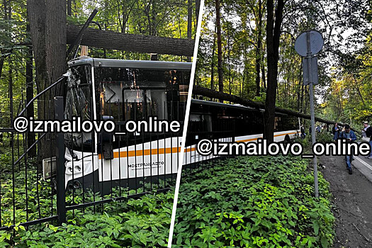 Автобус врезался в забор и дерево в Измайловском парке