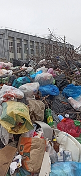 Не знаю, как бороться: жительницу Каменска возмущает мусор соседей