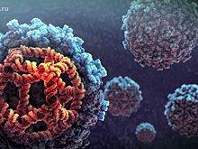 Учёные сообщили, что по Земле распространяется смертельный «супергрибок»