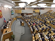 В Госдуме отклонили законопроект о передаче санкционных продуктов малоимущим
