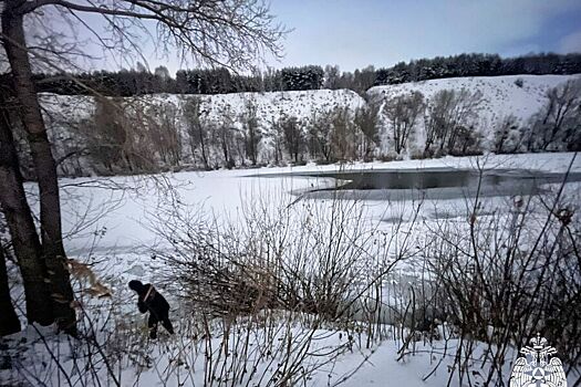 Двое детей провалились под лед на реке Иня в Новосибирске, одного не спасли