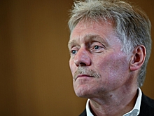 Песков раскрыл, когда у Москвы появится полная информация о плане США