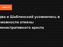 Падва и Шаблинский усомнились в возможности отмены административного ареста