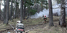 Природный пожар захватил более 200 гектаров леса в Хабаровском крае