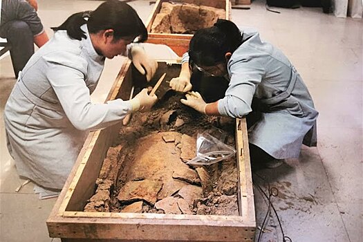 В Китае идентифицировали материал из 5500-летней гробницы