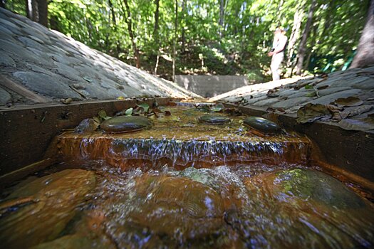 В Подмосковье в прошлом году благоустроили 15 родников