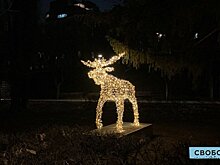 Светящийся лось и большие шары. Саратов продолжают украшать к Новому году