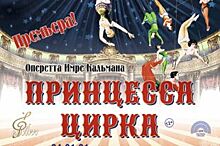 Иркутян приглашают на премьеру оперетты «Принцесса цирка»