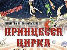 Иркутян приглашают на премьеру оперетты «Принцесса цирка»