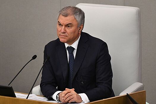 Госдума приоритетно рассмотрит денонсацию конвенции по предупреждению пыток