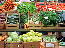 РФ усилит контроль за поставками продукции из Турции