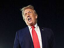 Трамп отказался ехать на предложенный Макроном саммит с участием России