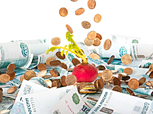 Скидкам — бой. Как вырастут цены на продукты до конца 2020 года