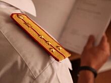 Жительница Ростовской области обвиняется в 16 эпизодах мошенничества