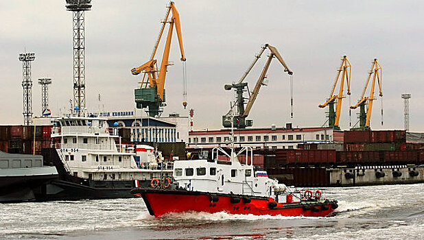 Более 400 тонн санкционных продуктов задержали на границе с Петербургом