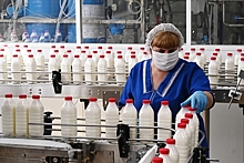 Производить молоко в России стало дороже
