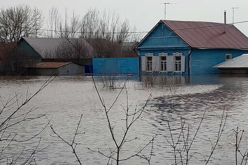 Мэрия: уровень реки Урал в селе Илек в Оренбургской области вырос до 913 см