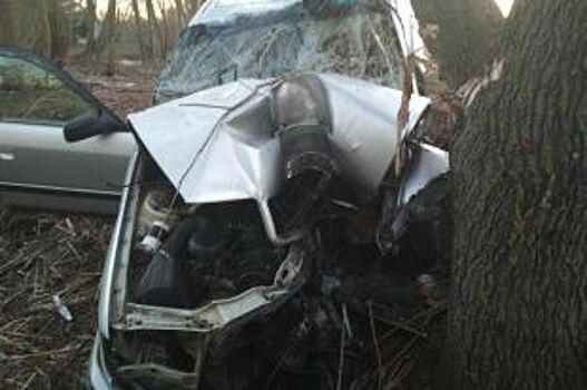 В Орловской области водитель Audi разбился насмерть в ДТП