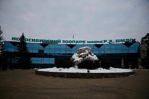 Стоимость билетов изменилась в Новосибирском зоопарке: новые тарифы