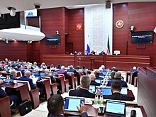 Госсовет Татарстана выступил против федерального законопроекта о финансировании лечения редких заболеваний