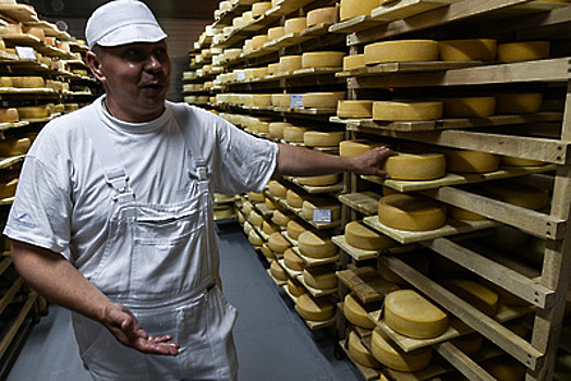 На сыроварне в Шаховской смогут производить до 1 тонны сыра в сутки