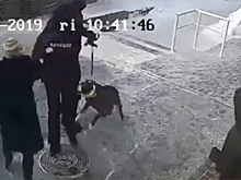 Условно посадили пару собачников за унижение полицейского