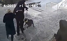 Условно посадили пару собачников за унижение полицейского