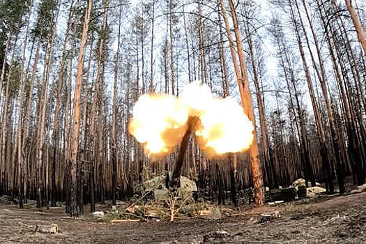 Минобороны: артиллерия РФ обстреляла украинских диверсантов в Херсонской области